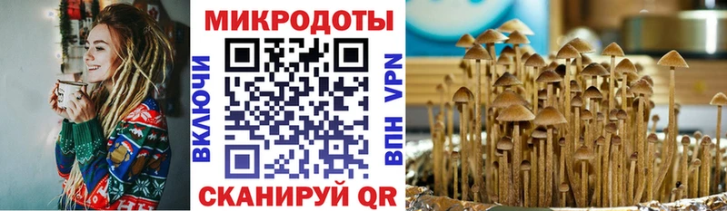 закладки  Артёмовский  Галлюциногенные грибы мицелий 